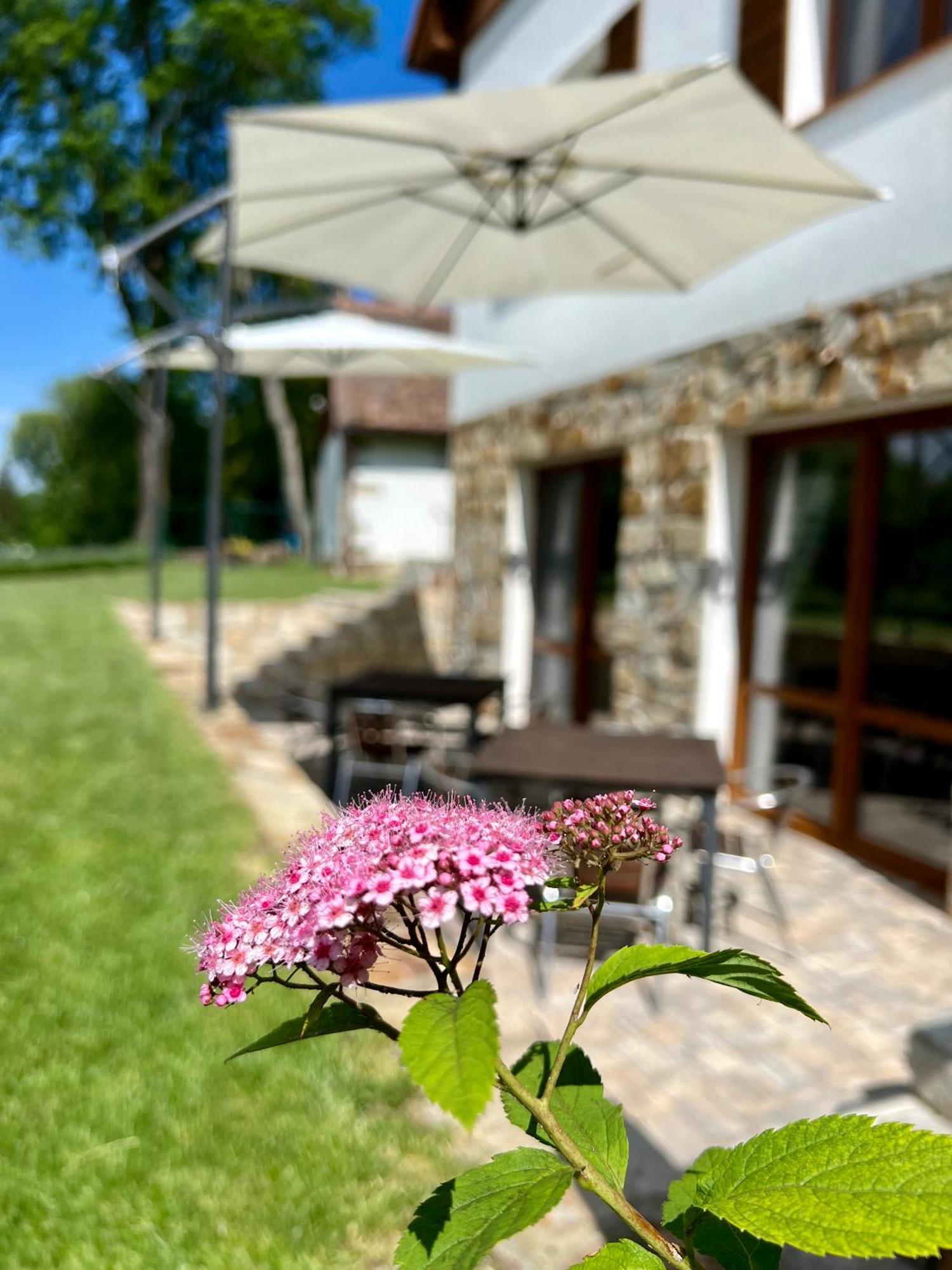 Casa di campagna Nad Rybnikem *